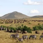 7 Tempat Terbaik untuk Dikunjungi di Afrika
