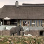 7 Penginapan Safari Paling Romantis di Afrika