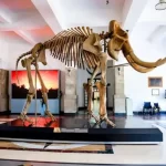 Museum Geologi Bandung, Objek Wisata Edukasi untuk Liburan Keluarga