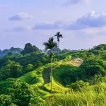 Petualangan Menyegarkan di Bukit Campuhan, Berjalan, Berlari, dan Menikmati Pemandangan